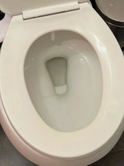 1 Year of Toilet Bowl Cleaner